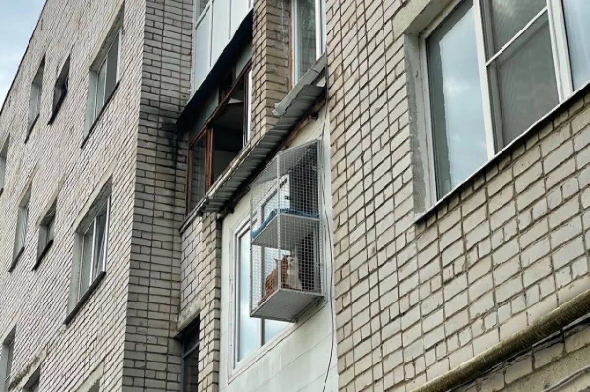    В доме под Тверью для кошек сделали отдельный балкон