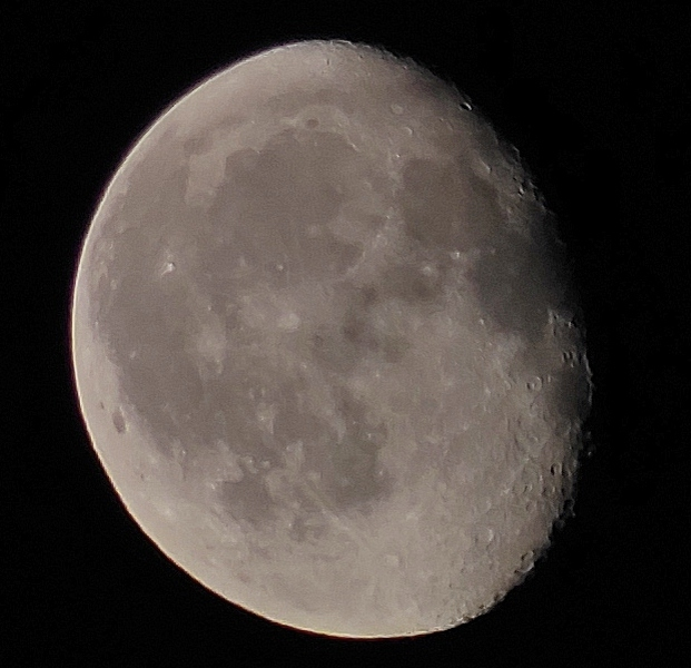 Авторский снимок 15.06.2025 г.