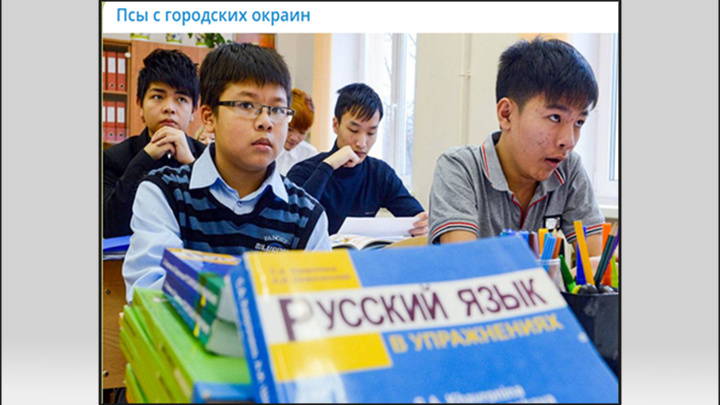    Русские не рожают, но мест в садах и школах нет. Фото: скрин с ТГ-канала dogsfromthehood