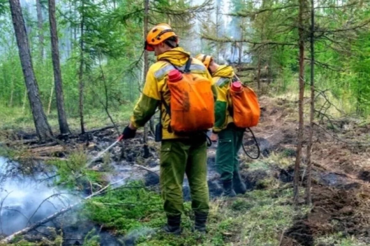    За сутки в Якутии потушили три лесных пожара
