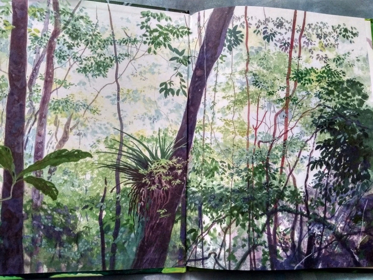  Выберите изображение