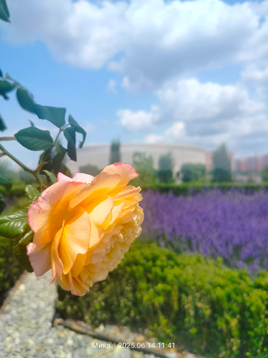 Парк Галицкого 