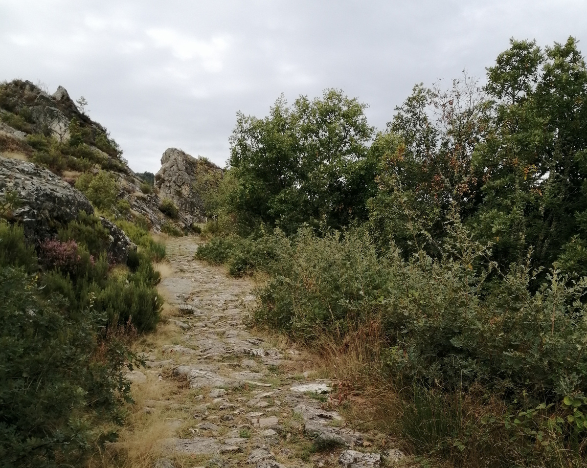 Путь Сантьяго