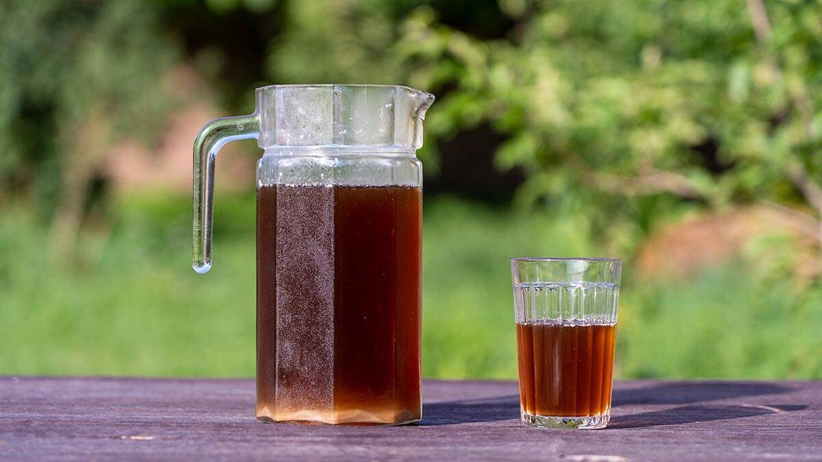    Фото: shutterstock