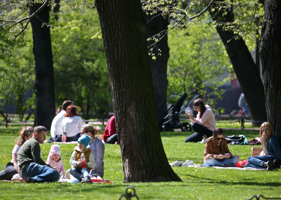 Их разработали в аграрном госуниверситете города. В список попали мясные батончики и детские консервы.