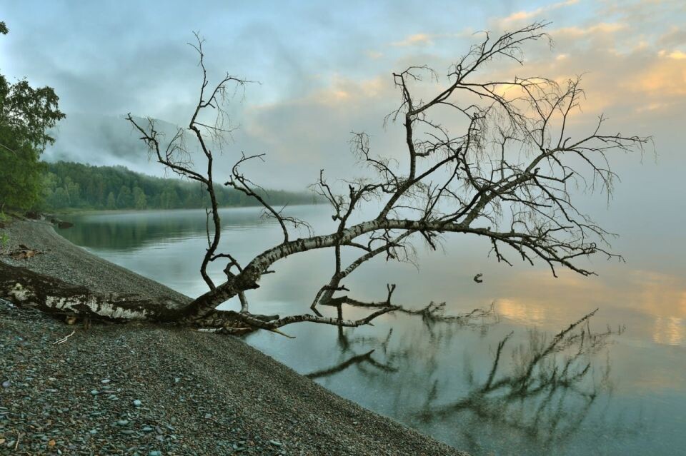    Телецкое озеро. Источник: Александр Лотов