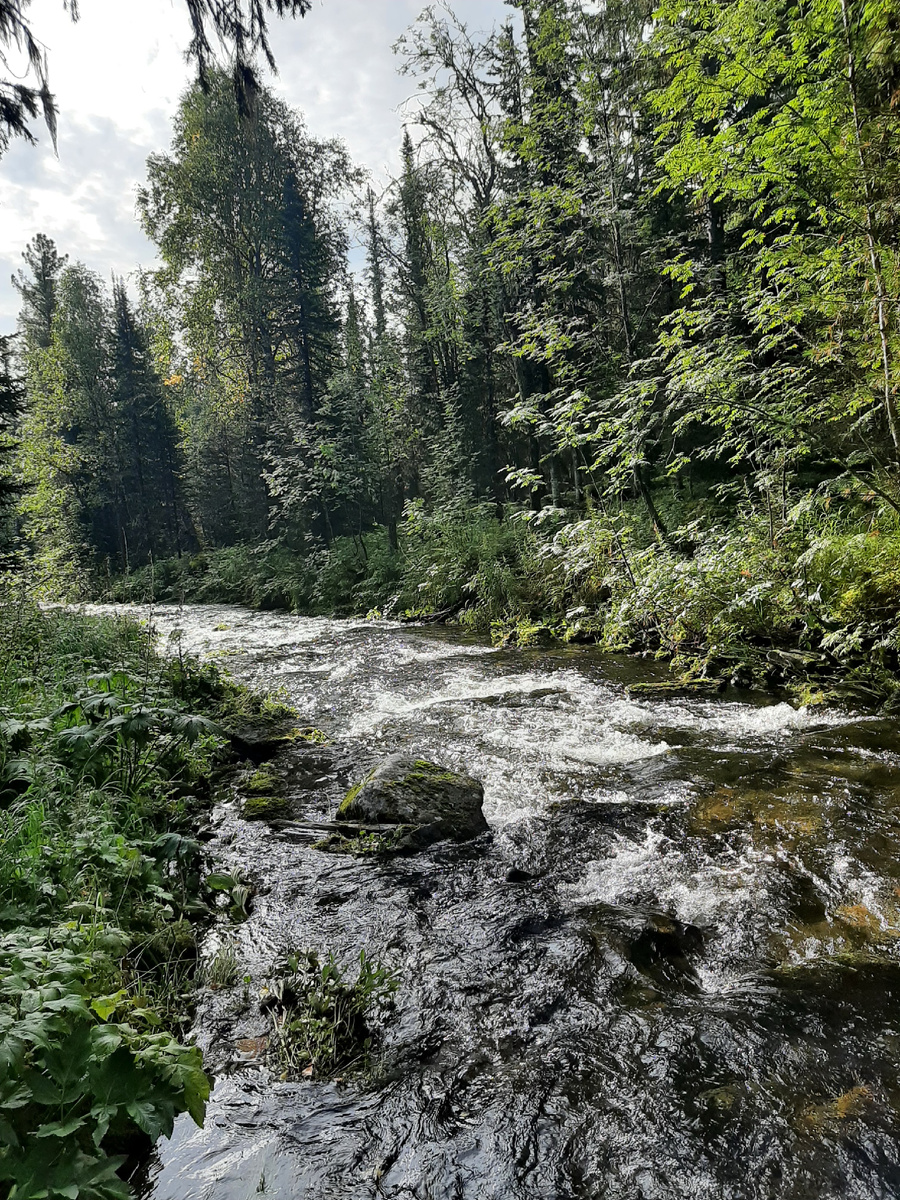 Река Ауспия