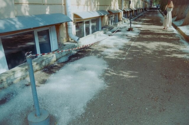    Фото: Антон Харин/ Антон Харин