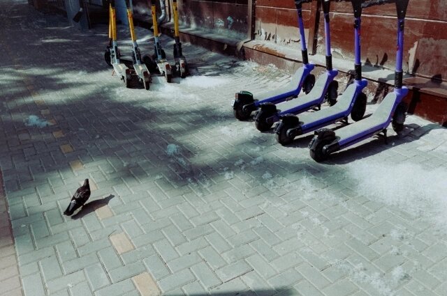    Фото: Антон Харин/ Антон Харин