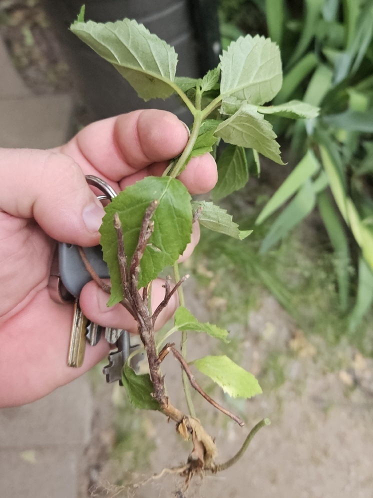     Ивановский зоологический парк/ВКонтакте