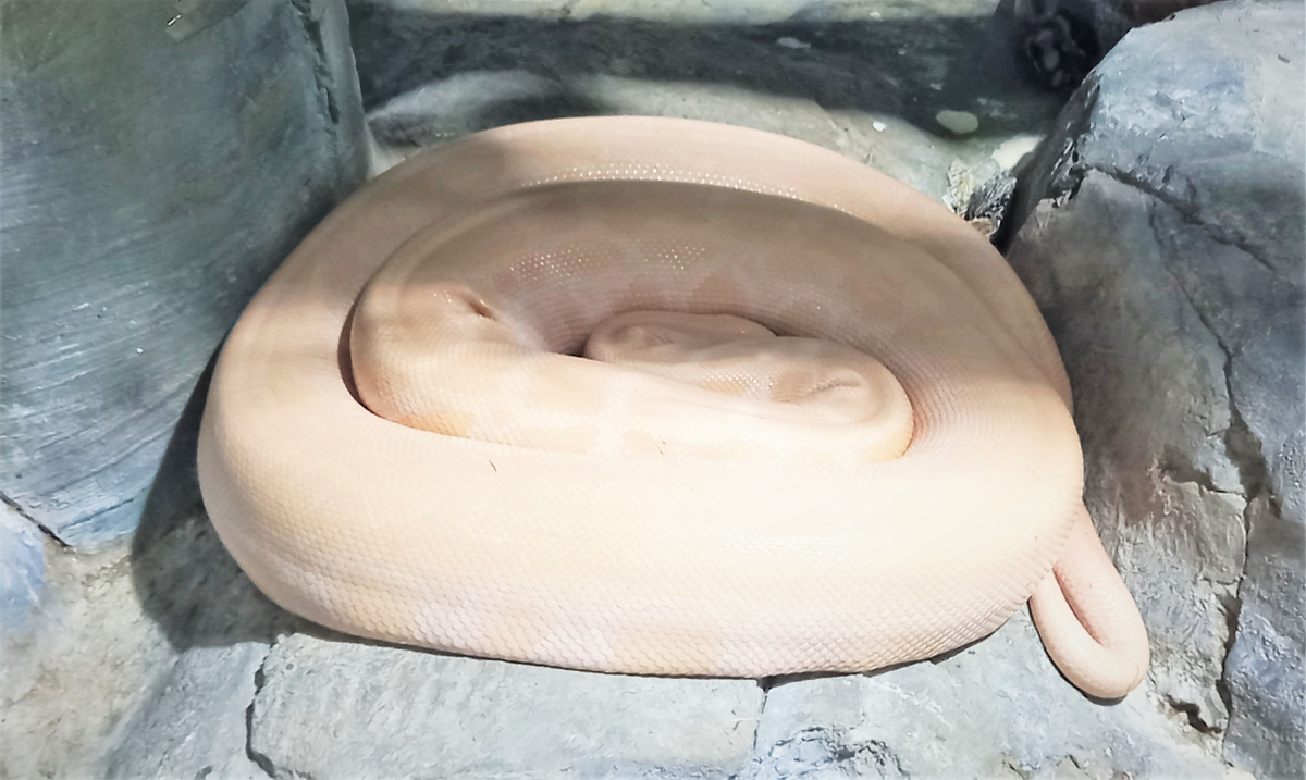 Благодарю за фото Марину АБРОЧНОВУ)