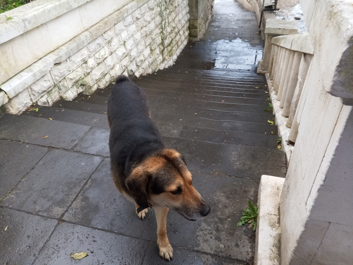 По дороге на пляж Айтара вечером 14 июня