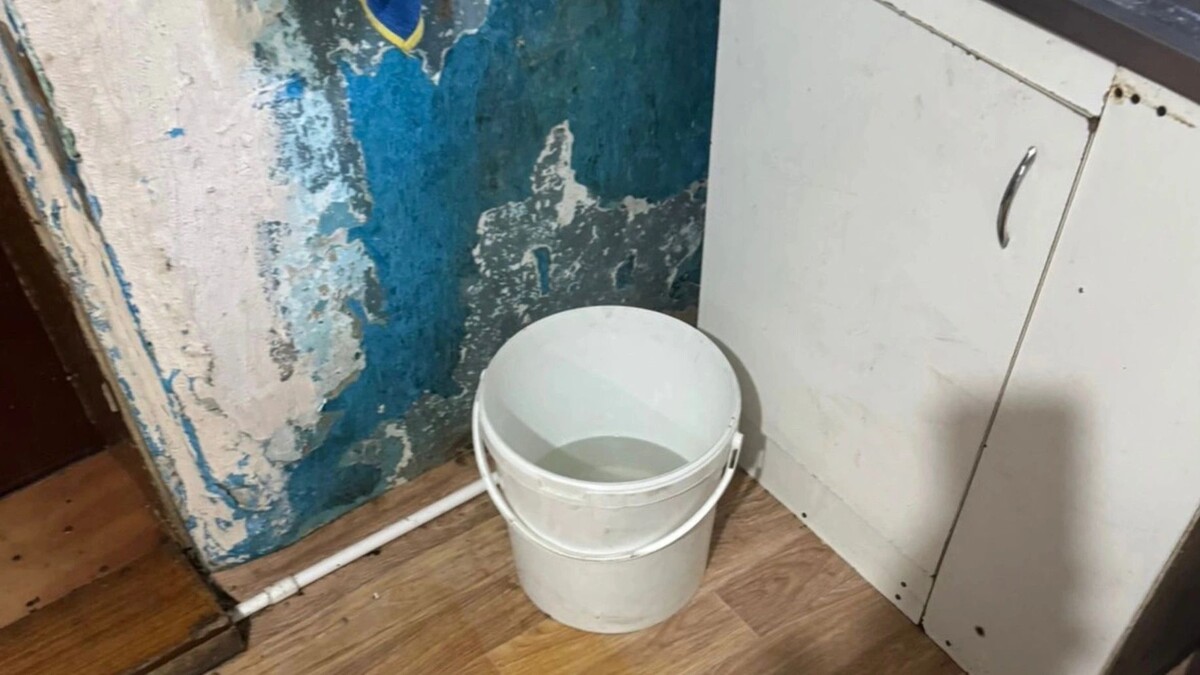    Фото: t.me/sledcom_omsk/4416