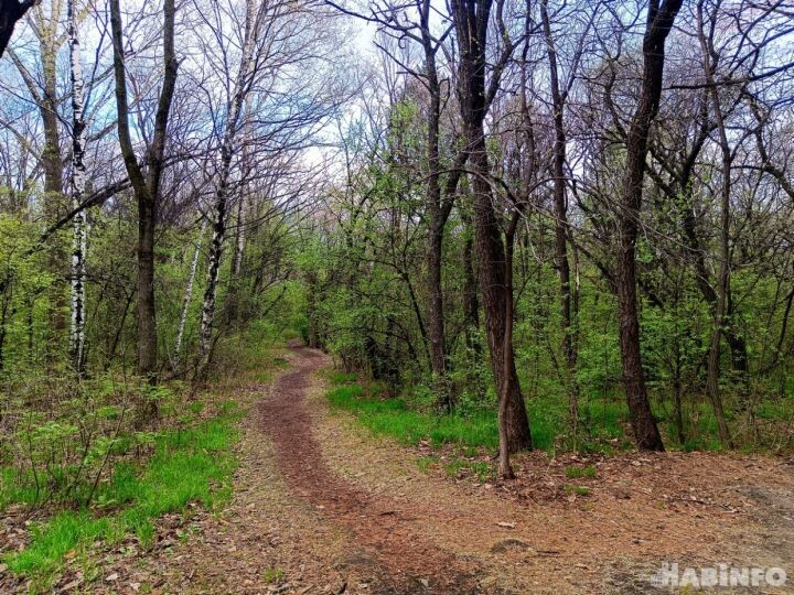    Фото:Виктория Андреева