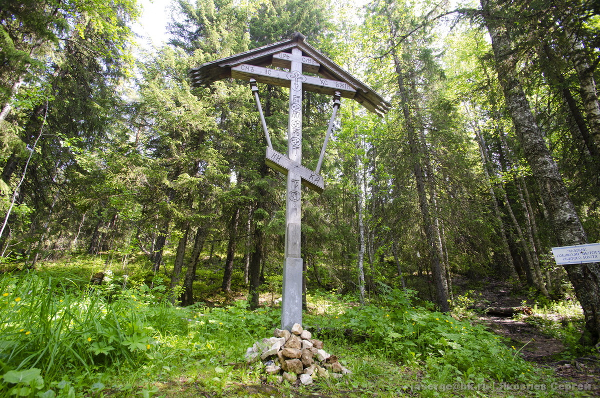 Июнь 2025. Урочище Куртяево