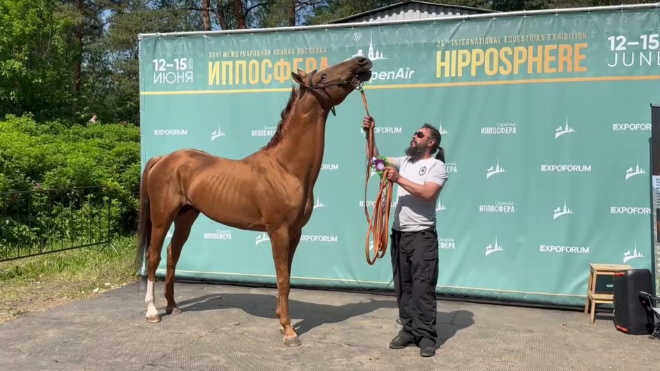 Фото: Скриншот видео Госветслужбы Ленобласти.