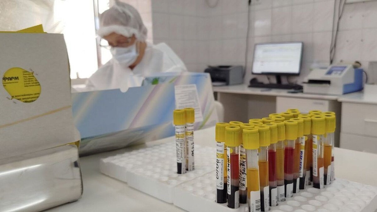    Фото: телеканал «Краснодар»