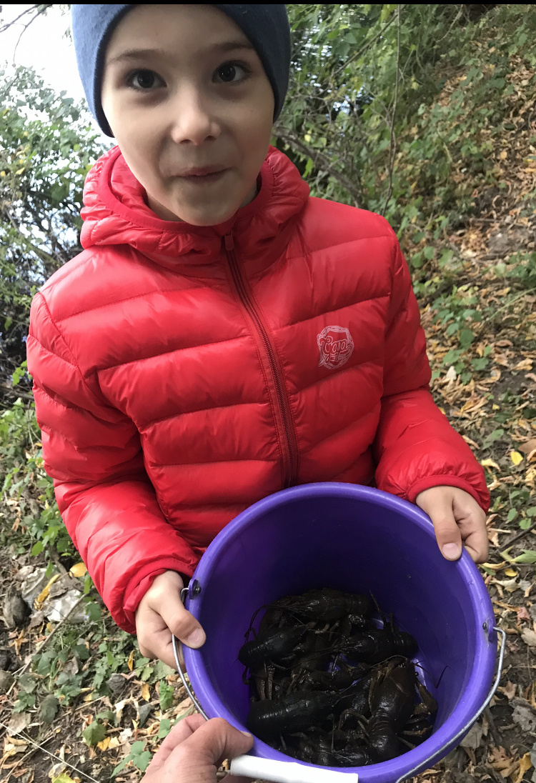 Раки около 1 кг