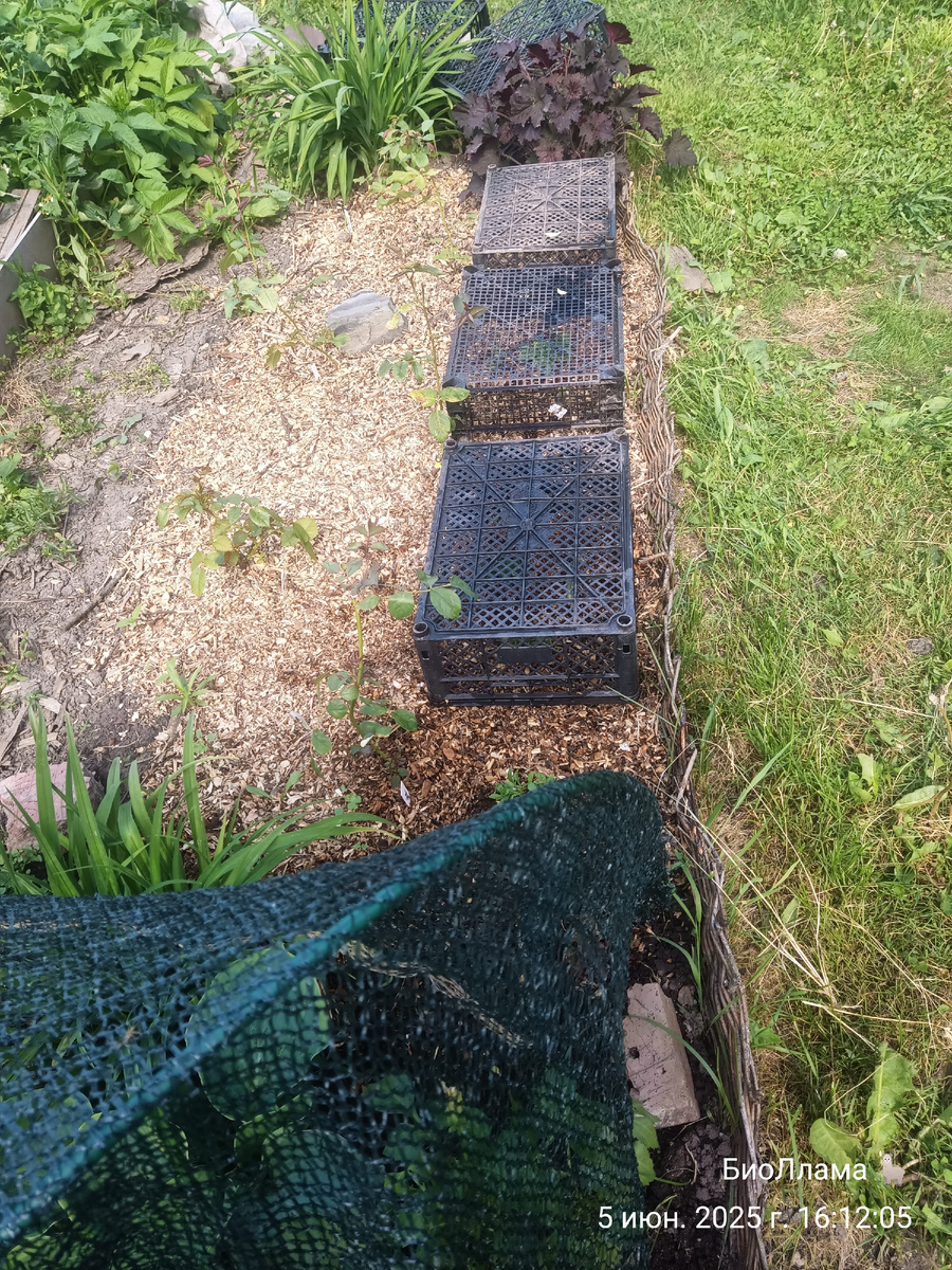 Кто там сидит?