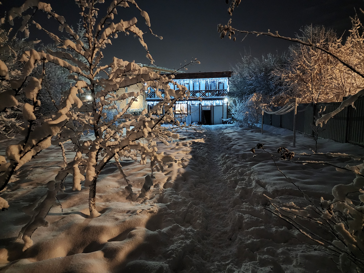 Подсветка зимы 2024