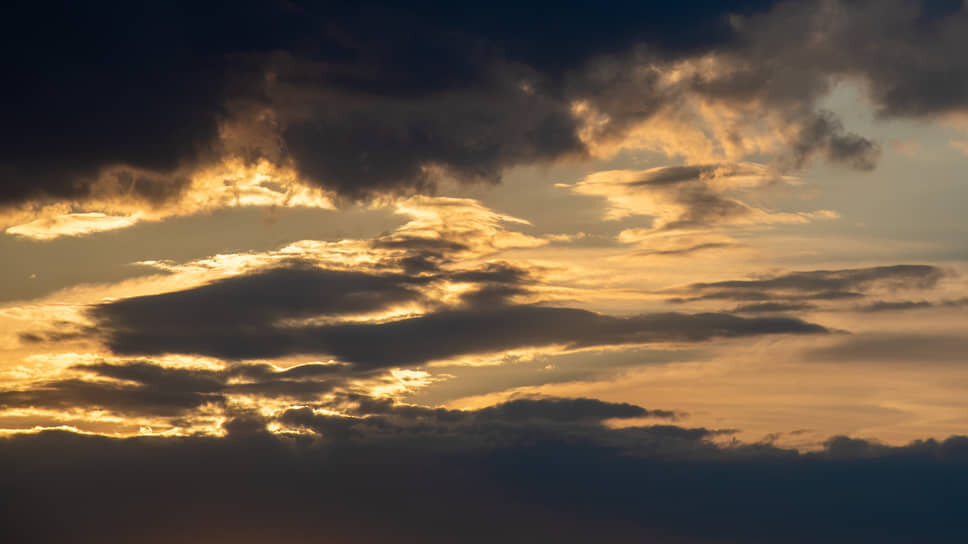 Фото: Олег Харсеев / Коммерсантъ