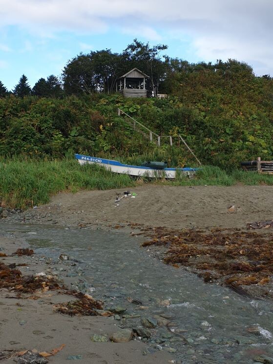    Фото: из личного архива Татьяны Шпигарь