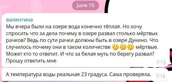     Источник: Комментарий в тг-канале Соленые озера курорт Соль-Илецк
