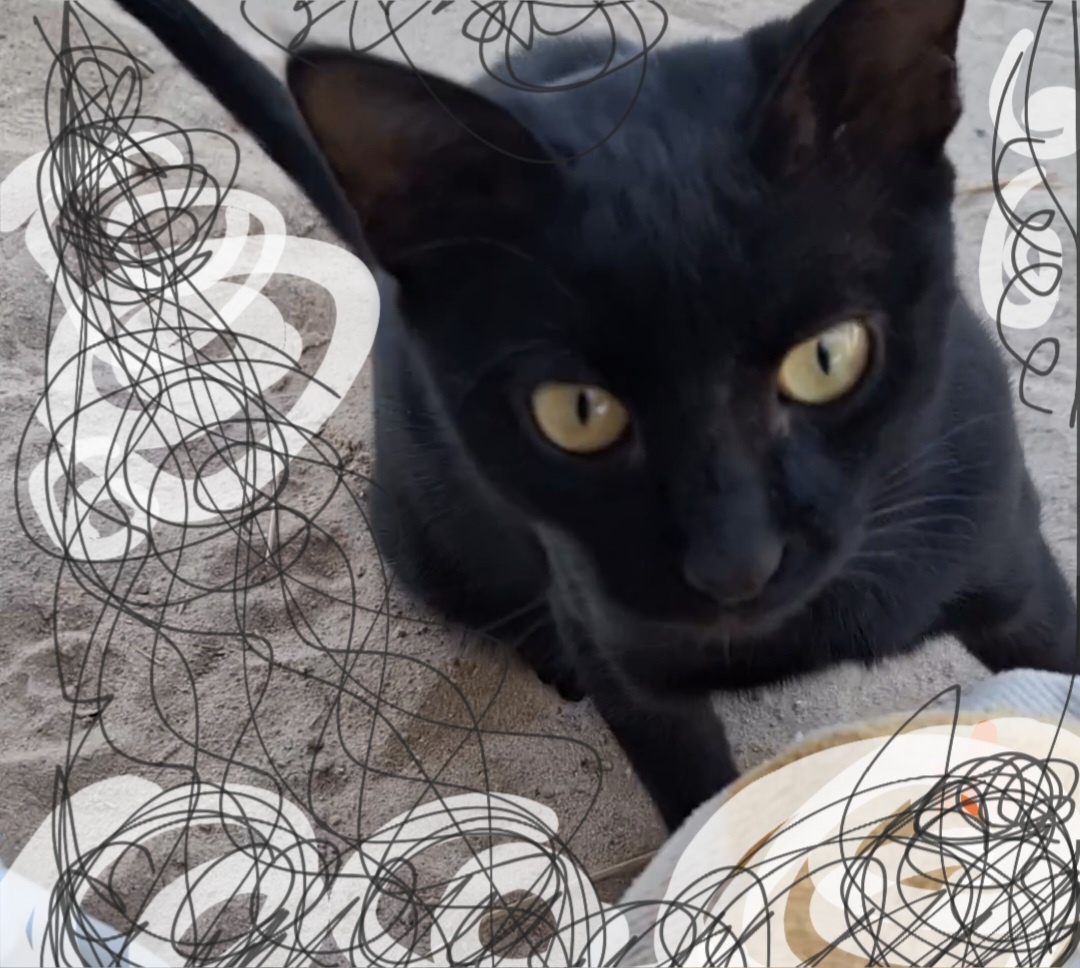 Фотоколлаж - собственность автора канала.