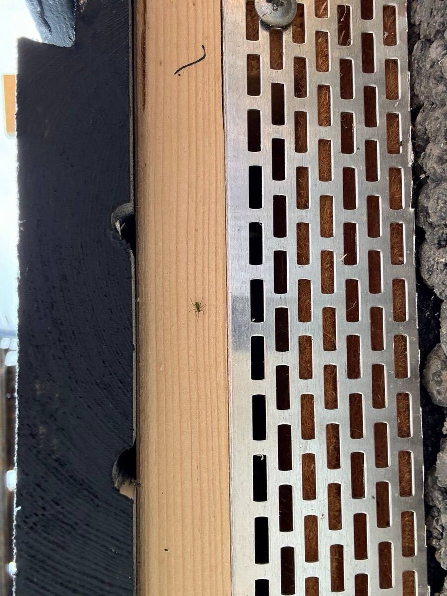Вид на пирог деревянного фасада снизу  -вентзазор закрыт перфорированным уголком
