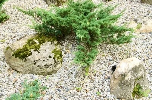 Хотелось вот так, засыпаясь всё мелкими камешками.