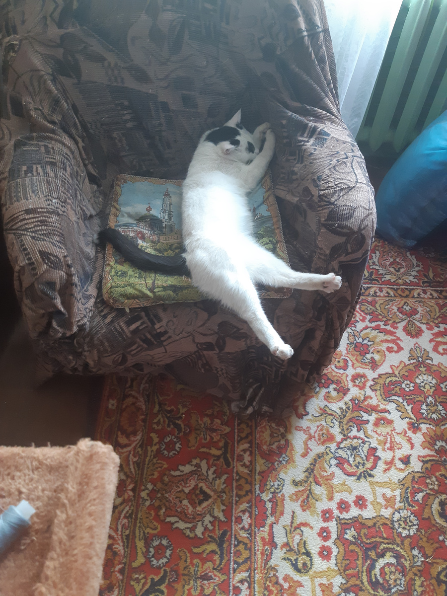 Когда вы наконец, угомонитесь, песняры! Режим сбит весь.