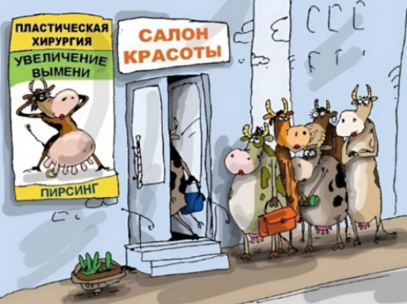 Источник изображения : Яндекс картинк