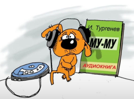 Источник изображения : Яндекс картинк