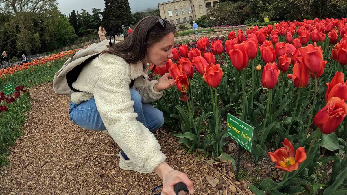 Никитский ботанический сад круглый год радует гостей цветением. Покажу цветы, которые я застала во время моего путешествия