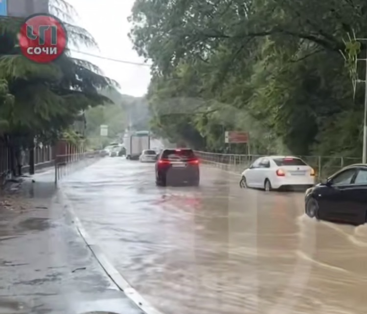    Фото: соцсети