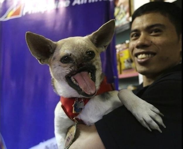 Яндекс.Картинки