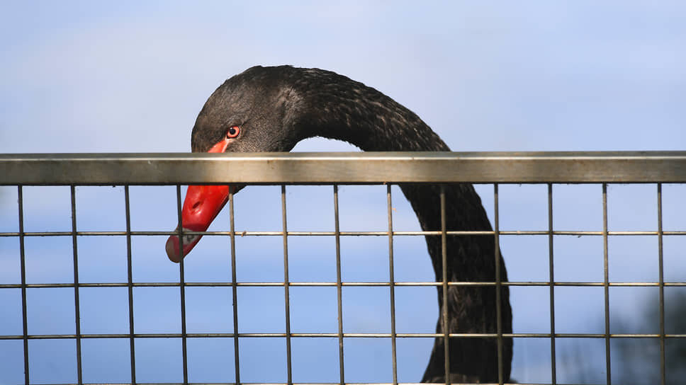 Фото: Александр Казаков / Коммерсантъ