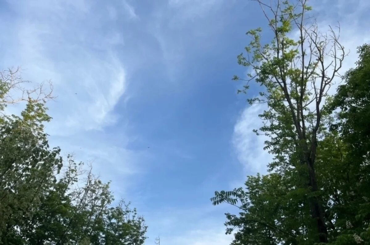    16 июня в Туле прогнозируют пятибалльную магнитную бурю и до +24℃