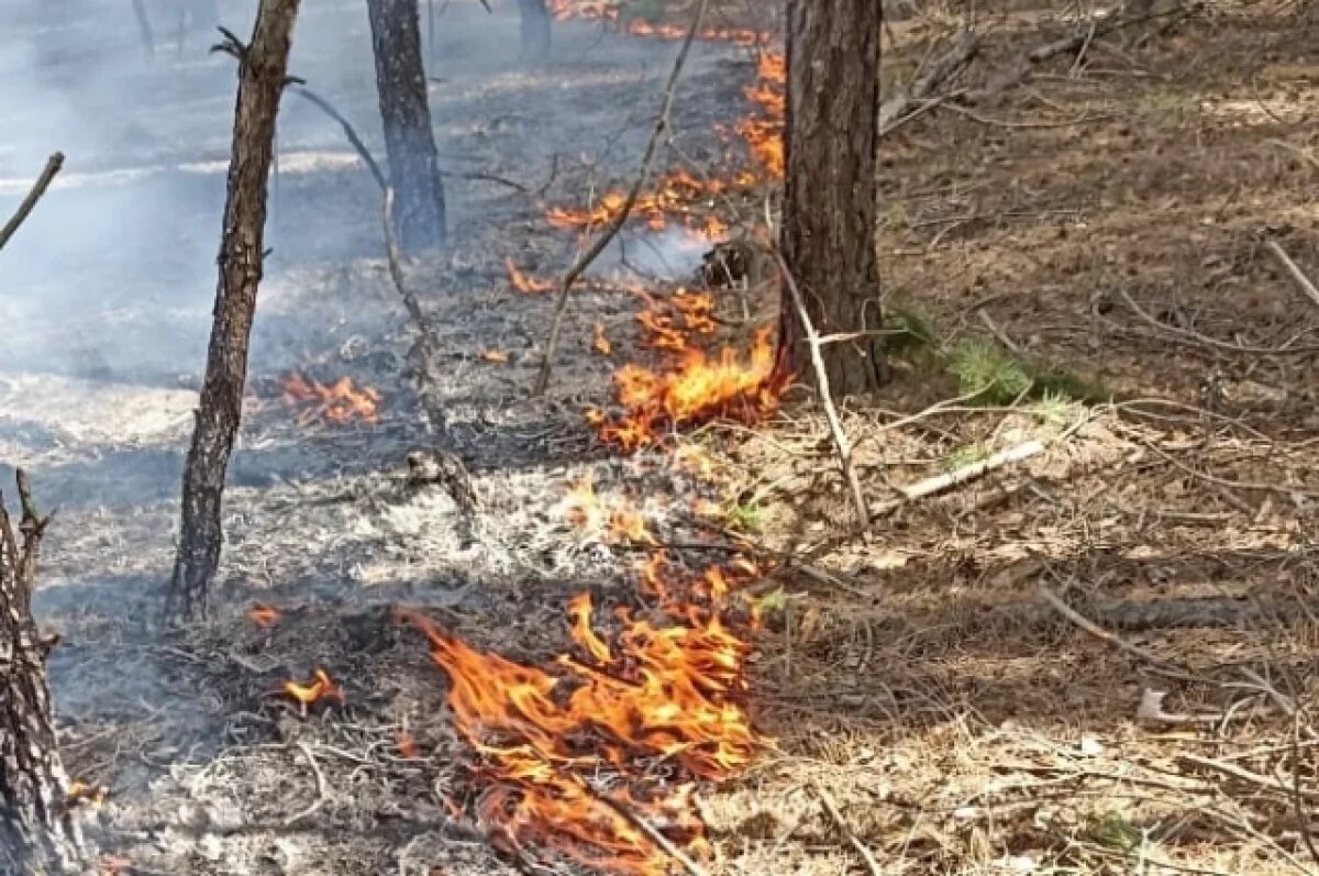    По югу Ульяновской области установилась пожарная опасность IV класса