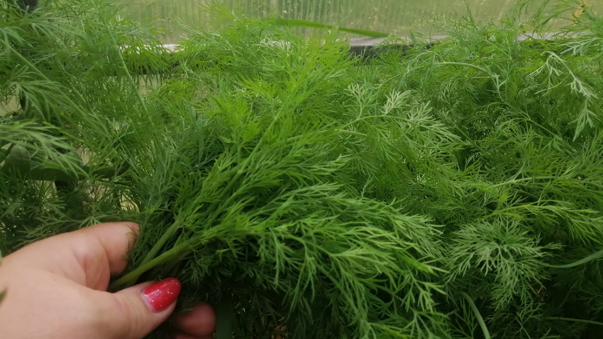 Результат говорит сам за себя 