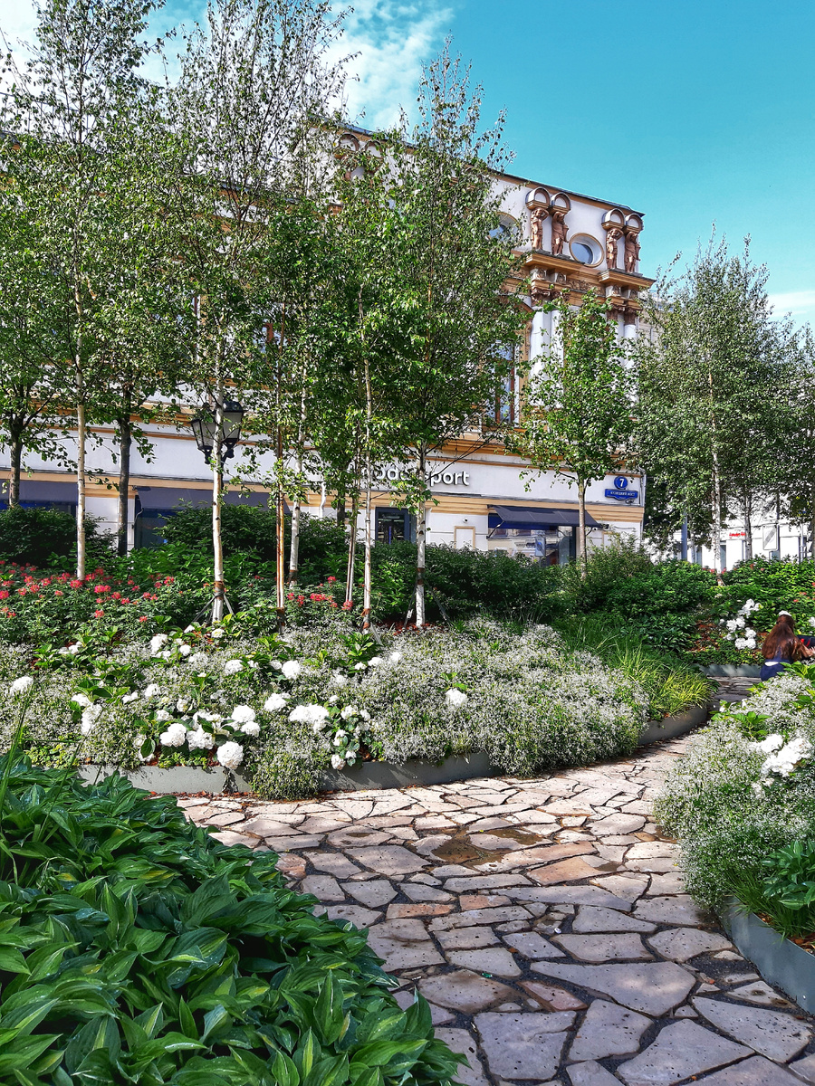 Лето 2025 в Москве. Живописная берёзовая роща около ЦУМ. Фестиваль «Сады и цветы» проекта «Лето в Москве».