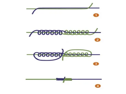Фото с сайта: https://avatars.mds.yandex.net