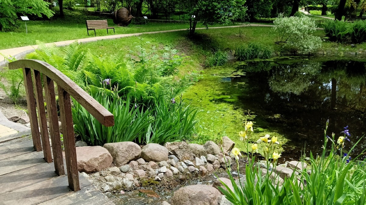 В Ландшафтном парке