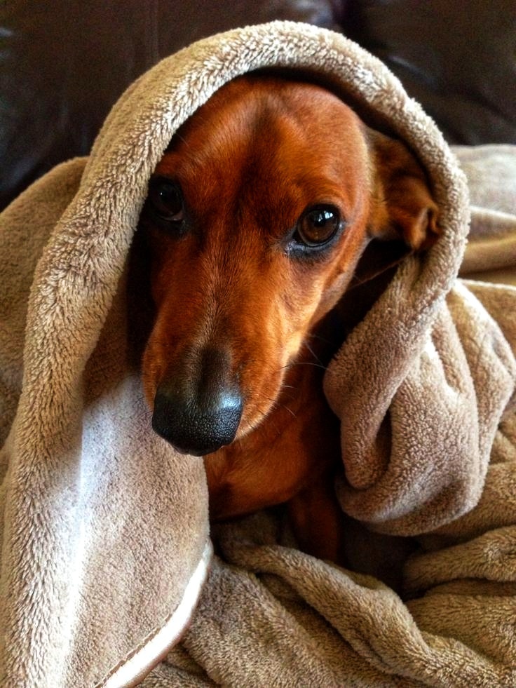 Утепляемся даже дома