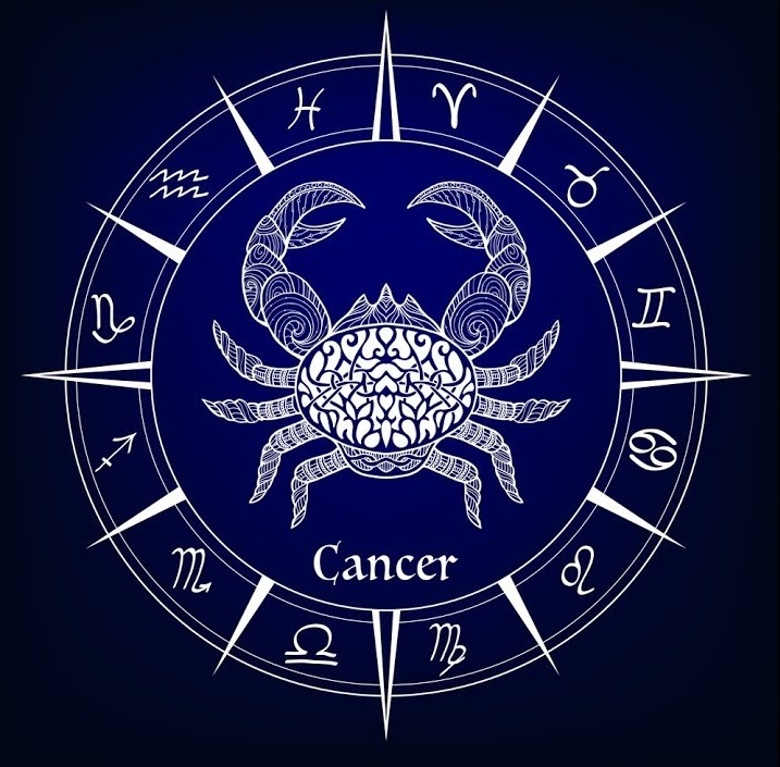 фотография взята из открытого информационного источника