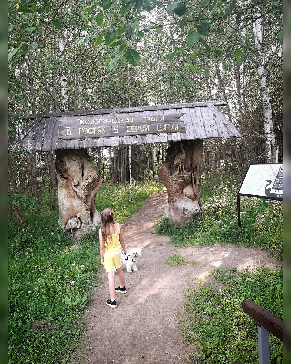 В гостях у серой цапли 