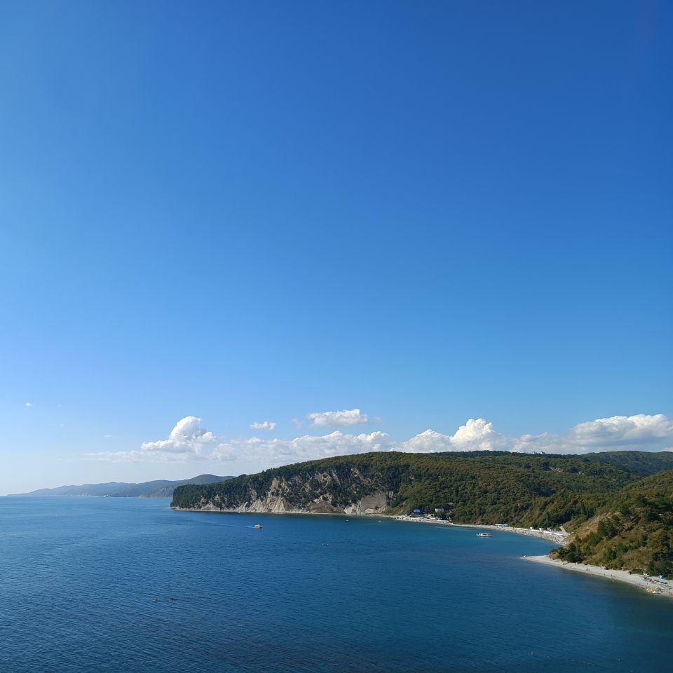 Активация «мусорной» ДНК и выбор временной линии