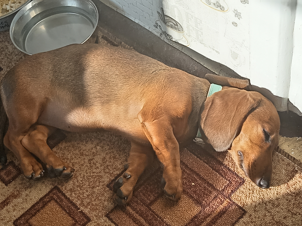 Соблюдаю закон Архмеда😉