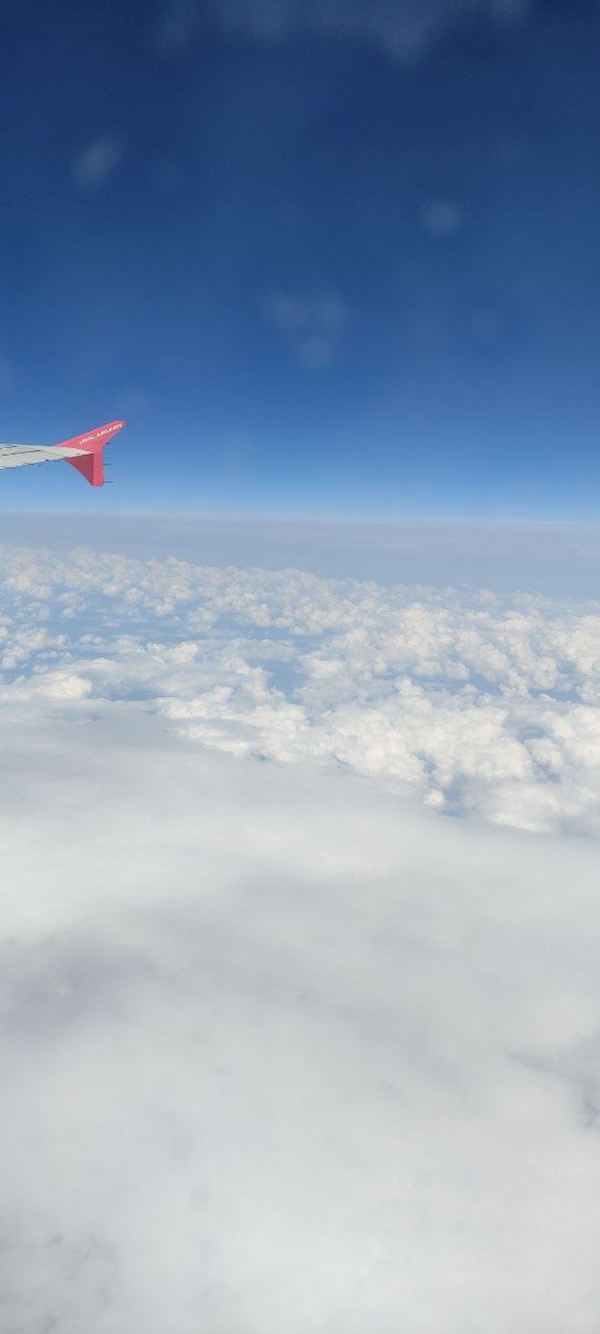 Наш самолет над густыми белыит облаками. Фото автора