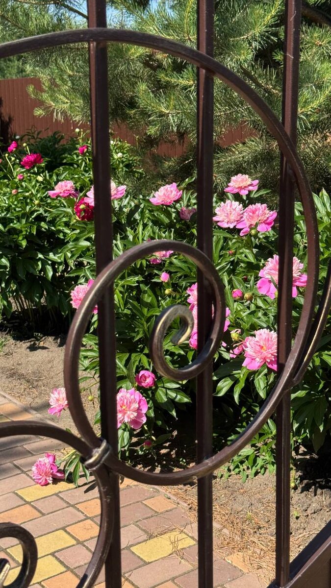 Улица Солнечная, КП Курортный, Омский район